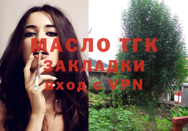 твердый Инта