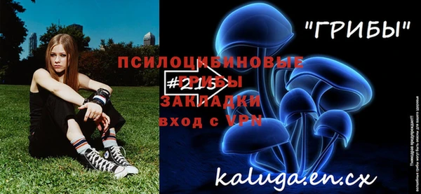 кокс Алексин