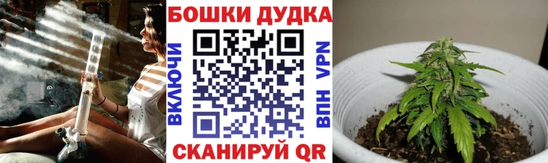 МАРИХУАНА сатива  Лахденпохья 